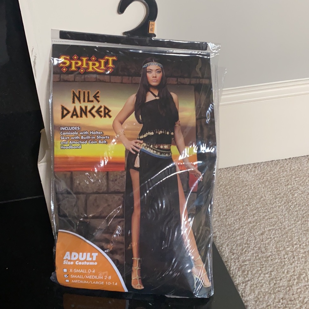 Sexy Dancer Halloween Costume Sz Small/Medium  (2-8) NWT